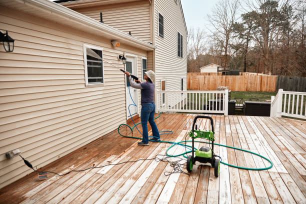 Best House Pressure Washing  in South Roxana, IL