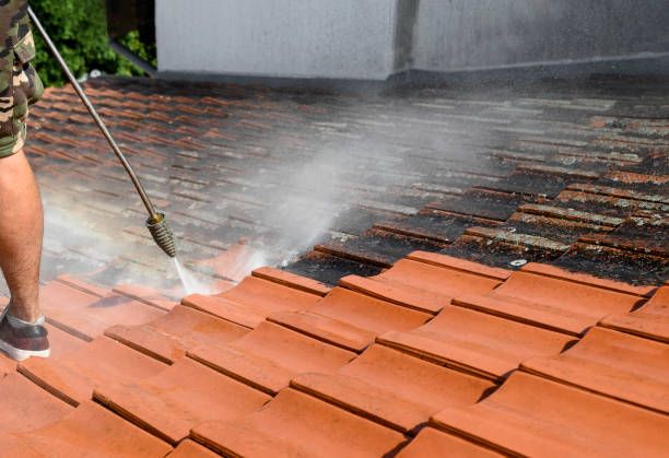 Best Affordable Power Washing  in South Roxana, IL