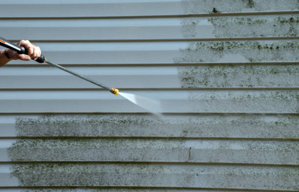 Professional Pressure Washing in South Roxana, IL