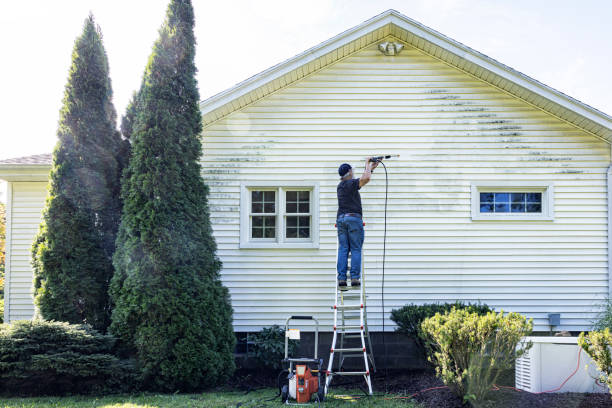 Best Residential Pressure Washing Services  in South Roxana, IL