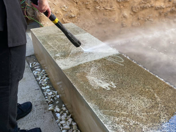 Best Exterior Home Cleaning  in South Roxana, IL