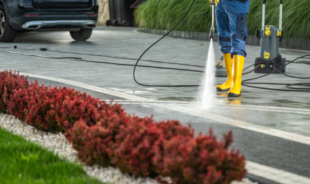 Best Fence Pressure Washing  in South Roxana, IL