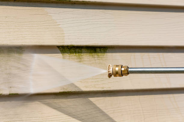 Best Pressure Washing Company Near Me  in South Roxana, IL