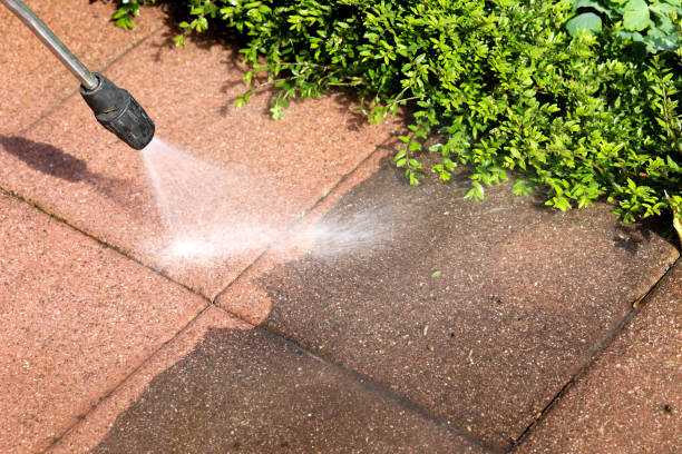 Best Roof Pressure Washing  in South Roxana, IL